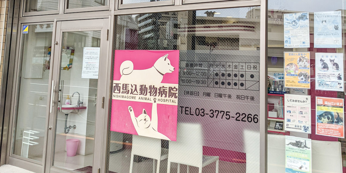 西馬込動物病院
